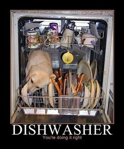 dishwasherdog